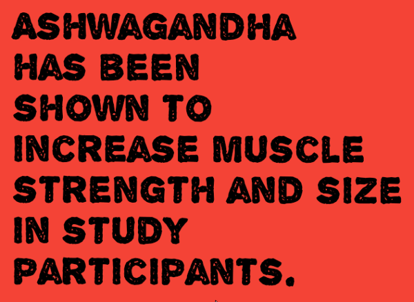 ashwagandha for bodybuilding infographic