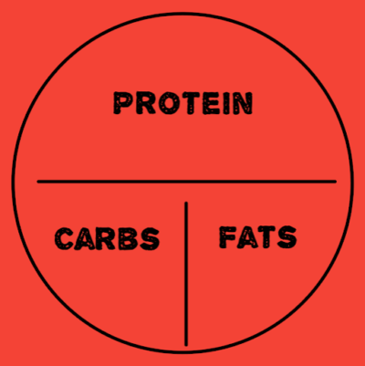 macronutrient infographic