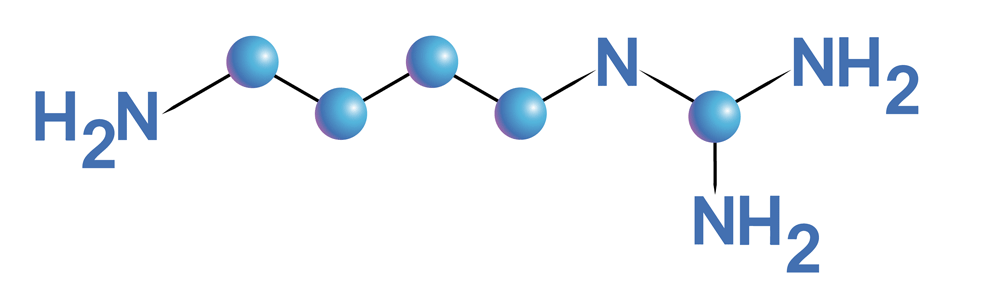 image shows the chemical structure of agmatine