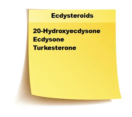 list of ecdysteroids