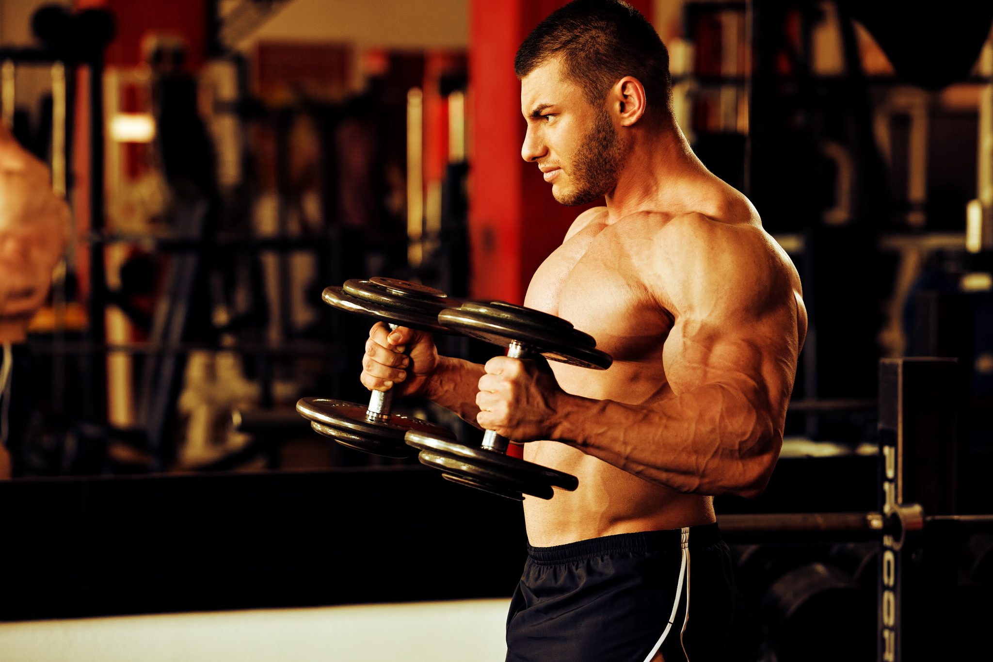 The Ultimate Guide To Hammer Curls: Benefits, Form, Tips & Tricks & More